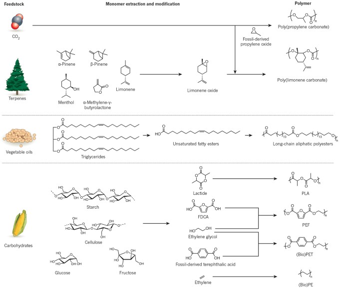 Sustainable polymers from renewable resources