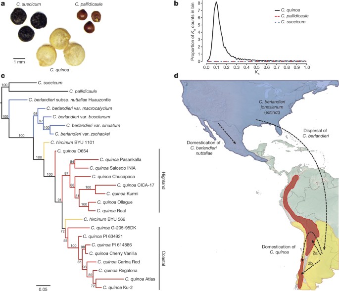 Byu Biology Major Map The Genome Of Chenopodium Quinoa | Nature