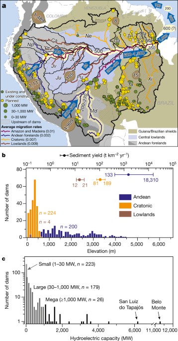 Damming the rivers of the Amazon basin | Nature