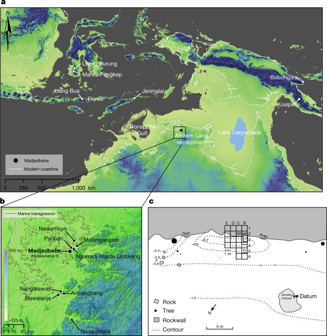 https://media.springernature.com/m685/springer-static/image/art%3A10.1038%2Fnature22968/MediaObjects/41586_2017_BFnature22968_Fig1_HTML.jpg