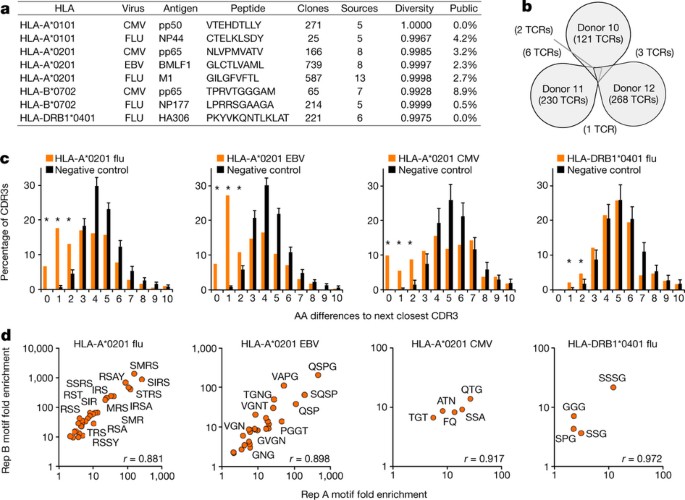 Identifying specificity groups in the T cell receptor repertoire