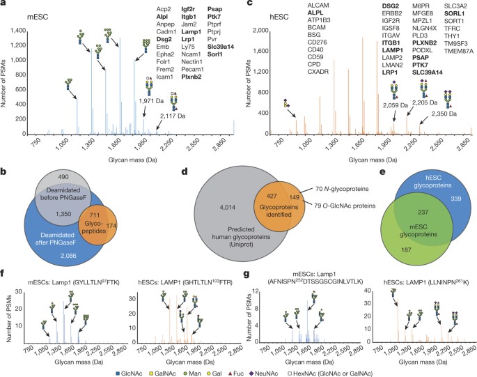 Glycoproteomics  Nature Reviews Methods Primers