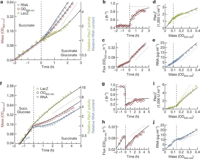 A Global Resource Allocation Strategy Governs Growth Transition Kinetics Of Escherichia Coli Nature