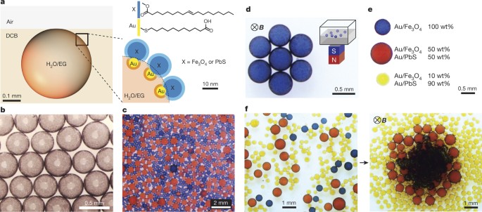 Systems Of Mechanized And Reactive Droplets Powered By Multi Responsive Surfactants Nature Systems Of Mechanized And Reactive Droplets Powered By Multi Responsive Surfactants Nature