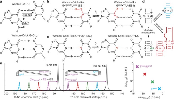 Dynamic Basis For Dg Dt Misincorporation Via Tautomerization And Ionization Nature