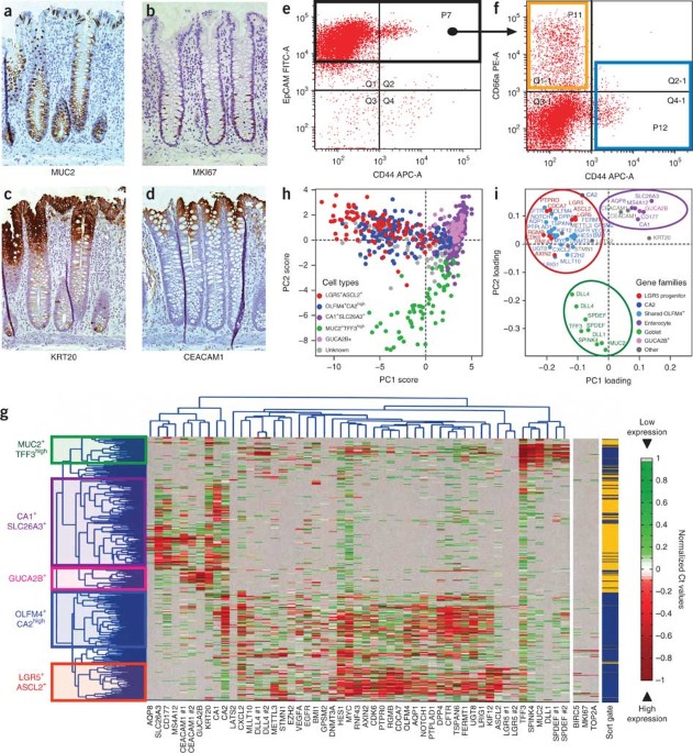 Single Cell Dissection Of Transcriptional Heterogeneity In Human Colon Tumors Nature Biotechnology Single Cell Dissection Of Transcriptional Heterogeneity In Human Colon Tumors Nature Biotechnology