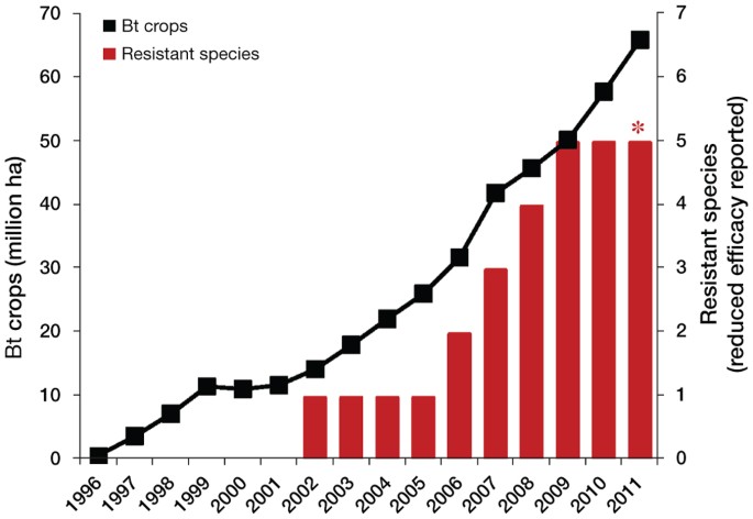 What causes insecticide resistance?