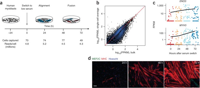 Cellular trajectory analysis