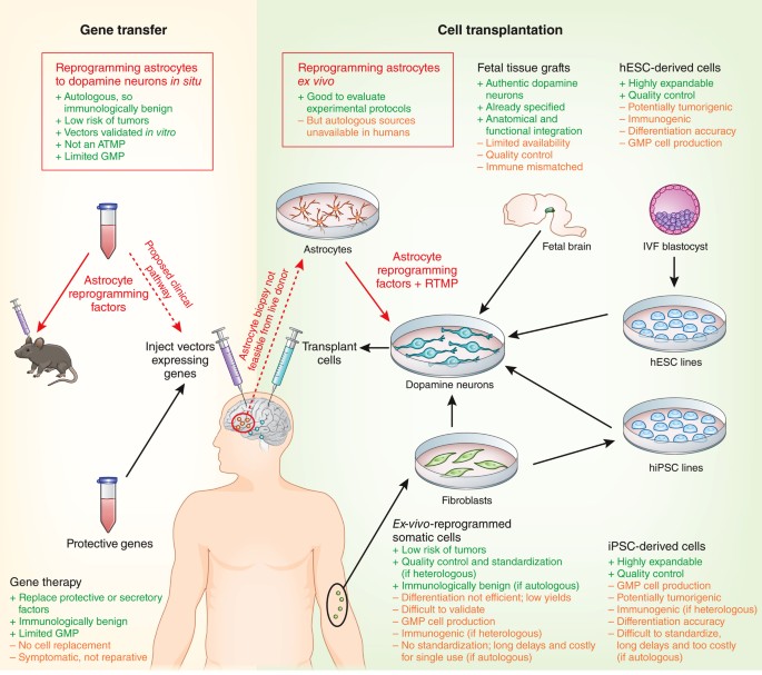 Reprogramming the diseased brain