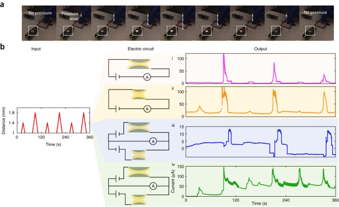 Programmable assembly of pressure sensors using pattern-forming bacteria