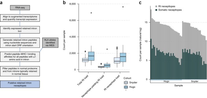 Intron Retention Is A Source Of Neoepitopes In Cancer Nature Biotechnology