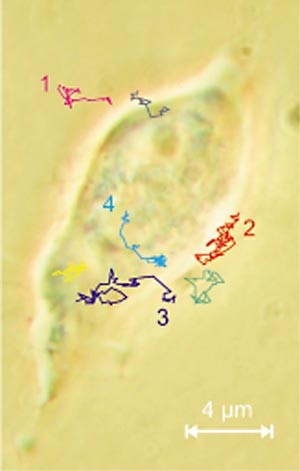 In Brief | Nature Biotechnology