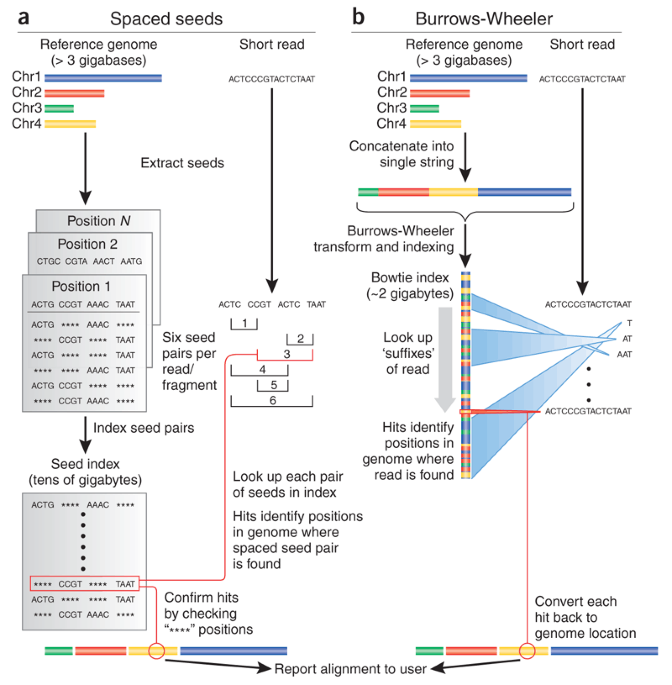 How to map billions of short reads onto genomes