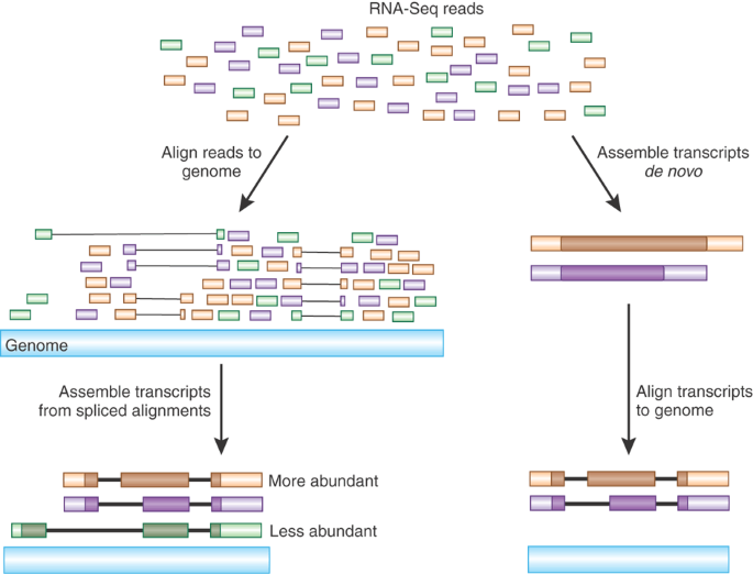 Advancing RNA-Seq analysis | Nature Biotechnology