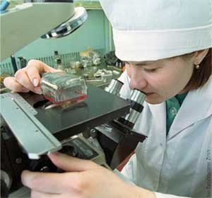 Russia becomes attractive as a source of ip for biotechs