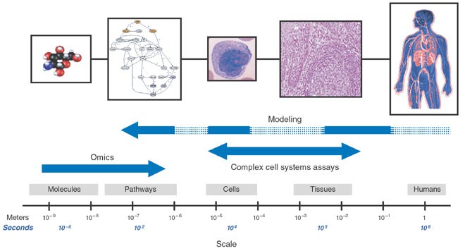 Systems Biology In Drug Discovery Nature Biotechnology