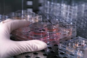Nih sacrifices commercial rights in wicell deal