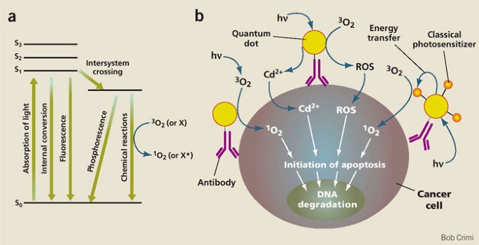 Quantum dots as photosensitizers?