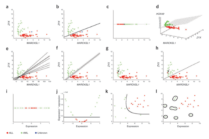What is a support vector machine? | Nature Biotechnology