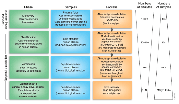 Protein Biomarker Discovery And Validation The Long And Uncertain Path To Clinical Utility Nature Biotechnology