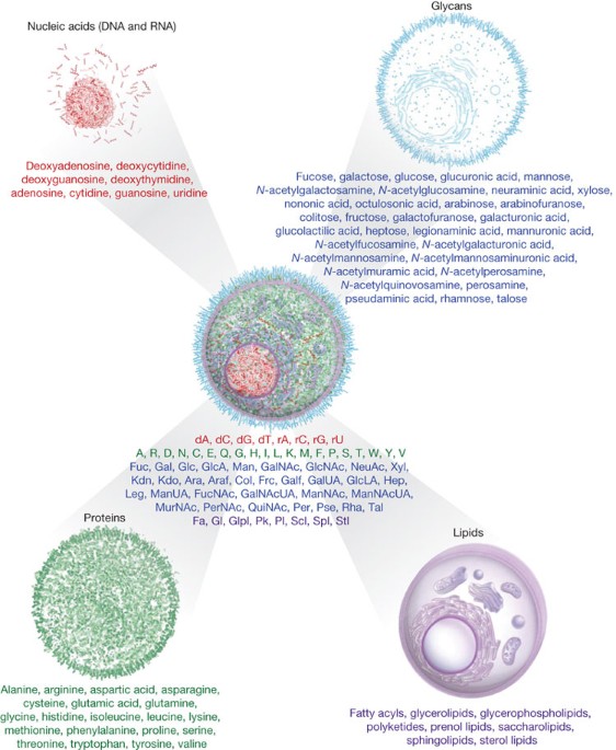 A unified vision of the building blocks of life | Nature Cell Biology