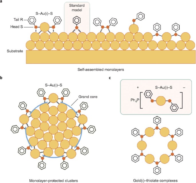 Abreviar Espesar Embrión The gold–sulfur interface at the nanoscale | Nature Chemistry