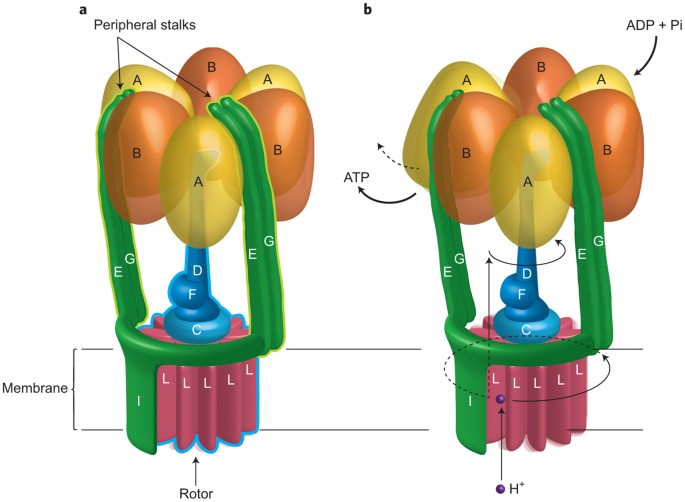 feature-image