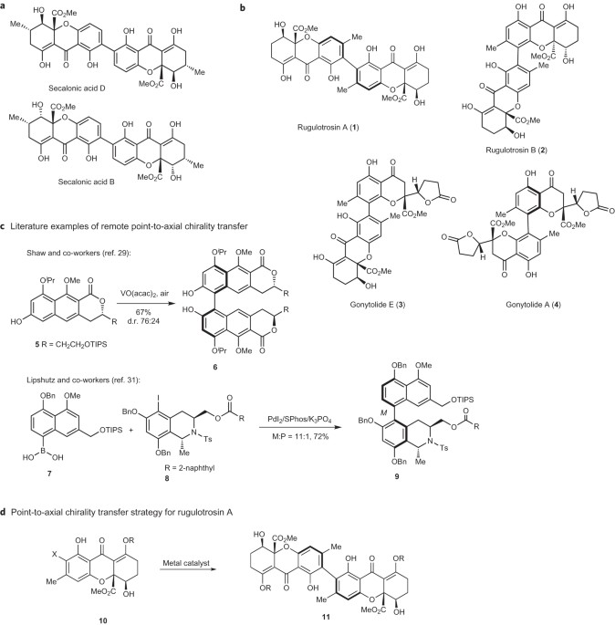 Atropselective Syntheses Of And Rugulotrosin A Utilizing Point To Axial Chirality Transfer Nature Chemistry