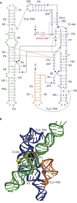 feature-image