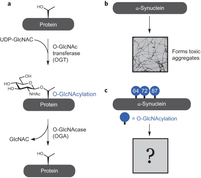 mizuno håndballsko 2015