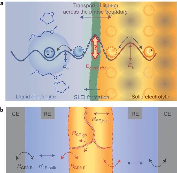 Dynamic formation of a solid-liquid electrolyte interphase and its  consequences for hybrid-battery concepts | Nature Chemistry