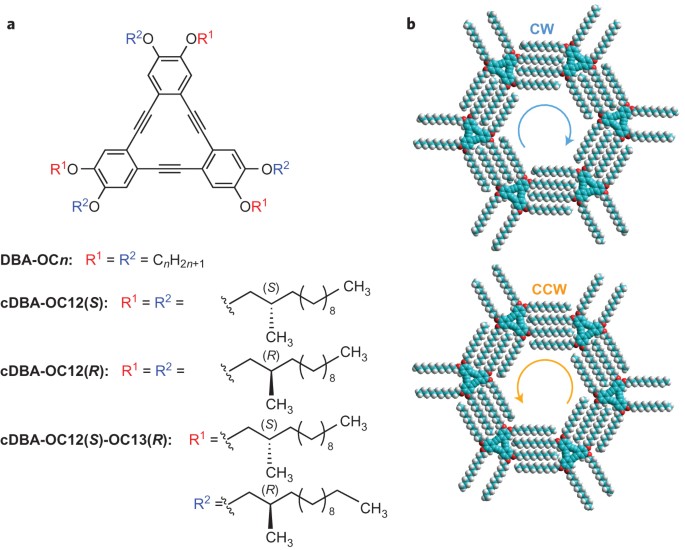 Dynamic Control Over Supramolecular Handedness By Selecting Chiral Induction Pathways At The Solution Solid Interface Nature Chemistry Dynamic Control Over Supramolecular Handedness By Selecting Chiral Induction Pathways At The Solution Solid Interface Nature Chemistry