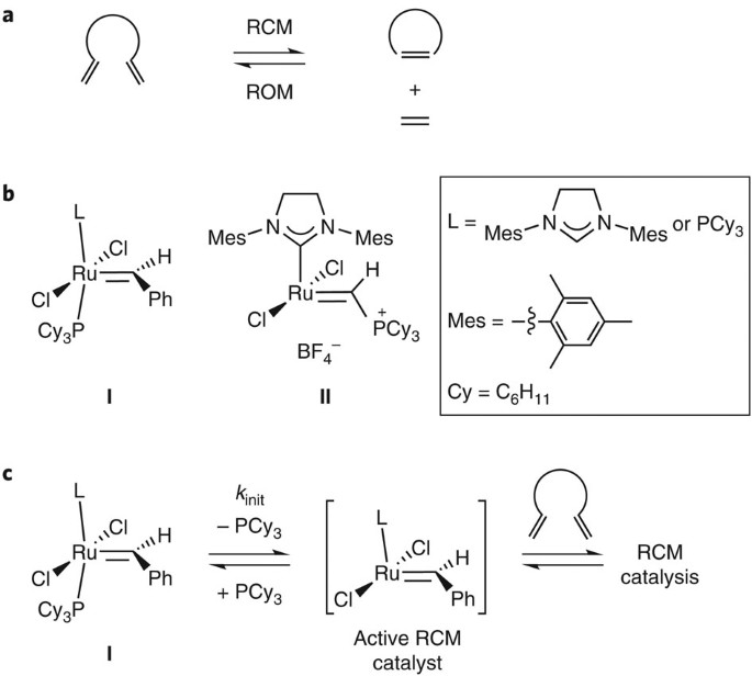 Mechanistic insights into the ruthenium-catalysed diene ring-closing  metathesis reaction | Nature Chemistry