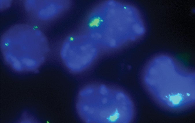 RNA eviction notice | Nature Chemical Biology