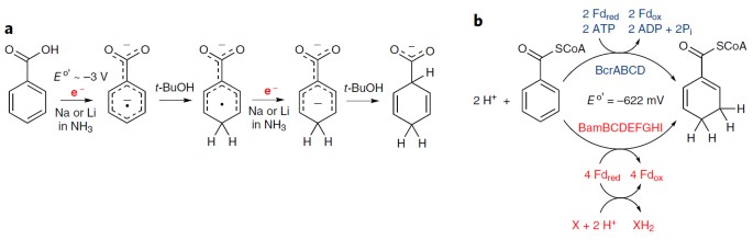 Benzene-d₆ “100%” (D, 99.96%) - Cambridge Isotope Laboratories, DLM-40-PK
