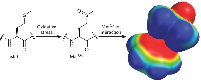 Bonds that bind | Nature Chemical Biology