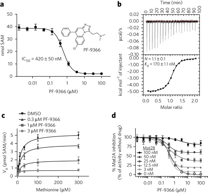 Targeting S Adenosylmethionine Biosynthesis With A Novel Allosteric Inhibitor Of Mat2a Nature Chemical Biology