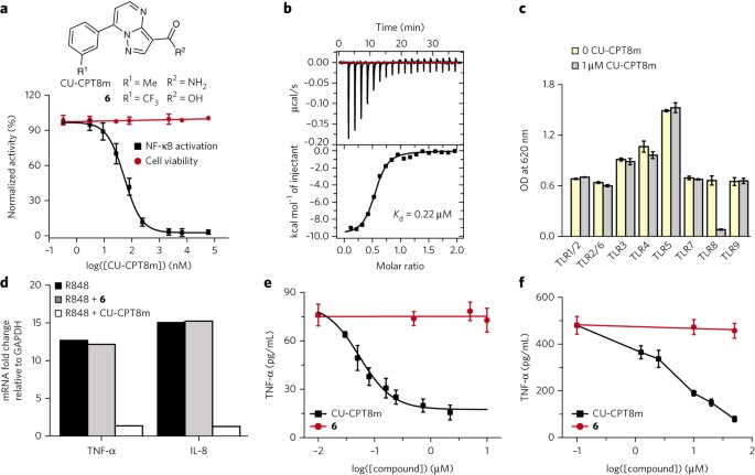 Small Molecule Inhibition Of Tlr8 Through Stabilization Of Its Resting State Nature Chemical Biology