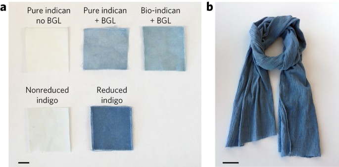 New indigo dye means 'aniline-free' denim, Dyes & Chemicals News