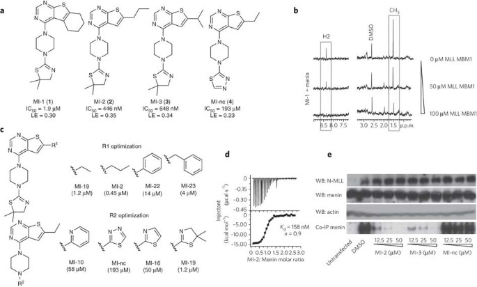 Menin-MLL inhibitors reverse oncogenic activity of MLL fusion proteins in  leukemia