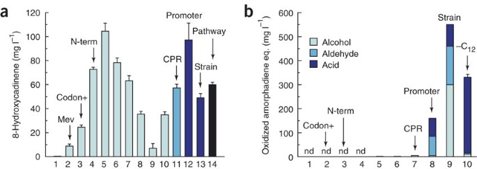 Engineering escherichia coli for production of functionalized terpenoids using plant p450s