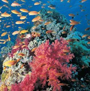 No escaping the heat | Nature Climate Change