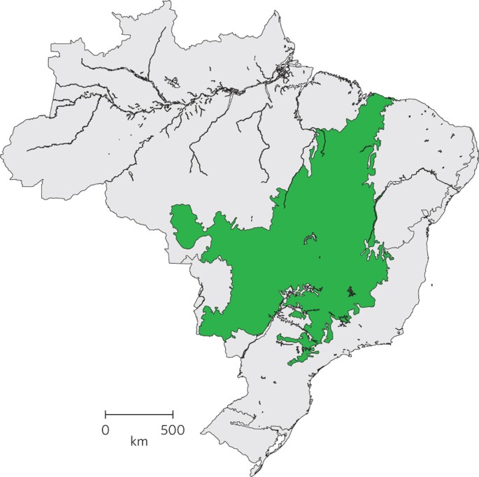Increasing beef production could lower greenhouse gas emissions in brazil if decoupled from deforestation