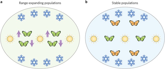Insect thermal baggage | Nature Climate Change