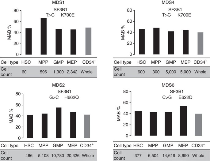 Sf3b1 mutant mds-initiating cells may arise from the haematopoietic stem cell compartment