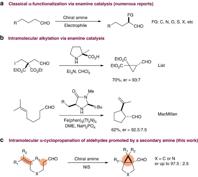 Separation and Catalysis of Carboxylates: Byproduct Reduction during the  Alkylation with Dimethyl Carbonate