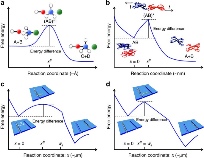 Transition State Theory Demonstrated At The Micron Scale With Out Of Equilibrium Transport In A Confined Environment Nature Communications Transition State Theory Demonstrated At The Micron Scale With Out Of Equilibrium Transport In A Confined Environment Nature Communications