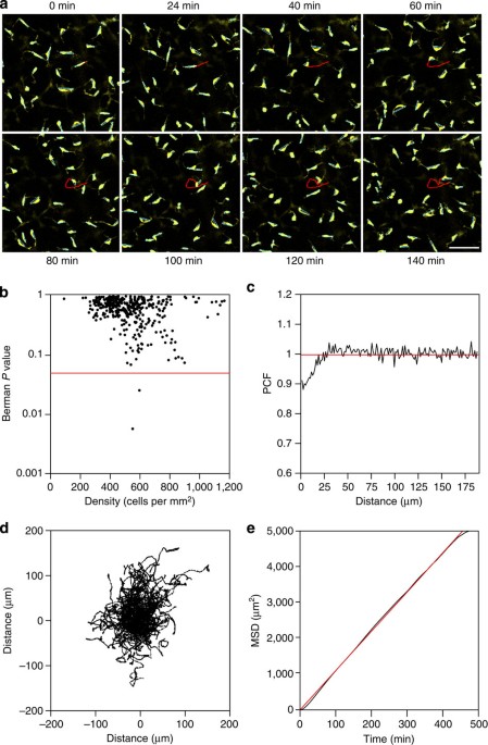 Reconciling Diverse Mammalian Pigmentation Patterns With A Reconciling Diverse Mammalian