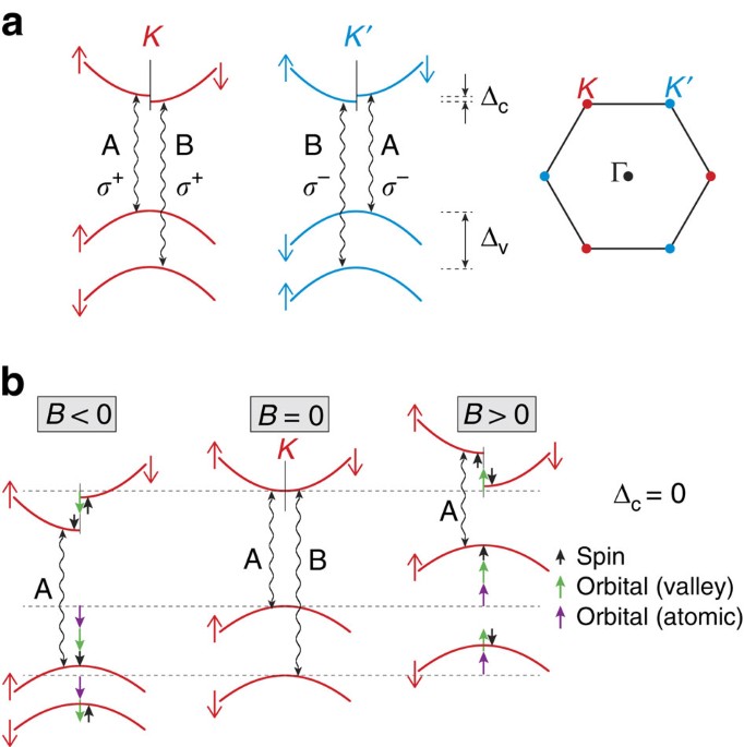 Exciton Diamagnetic Shifts And Valley Zeeman Effects In Monolayer Ws 2 And Mos 2 To 65 Tesla Nature Communications Exciton Diamagnetic Shifts And Valley Zeeman Effects In Monolayer Ws 2 And Mos 2 To 65 Tesla Nature Communications