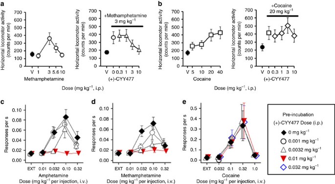Mechanisms Of Amphetamine Action Illuminated Through Optical